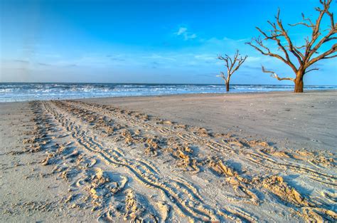 Welcome to Edisto Beach, South Carolina! | EdistoBeach.com