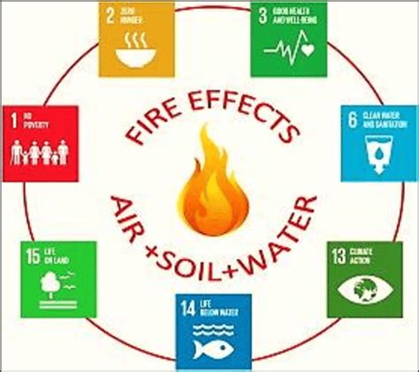 Direct and indirect impacts of forest fires can be detrimental to the... | Download Scientific ...