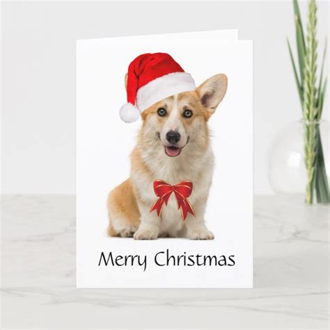 Corgi Christmas card | Zazzle.com