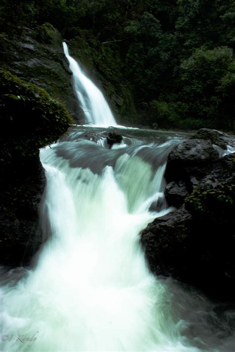 Hidden Gems: Experience The Feels Of Waterfalls and Rainforest in ...