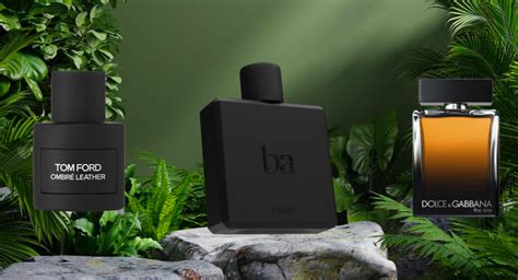 The Best Perfumes for Men in 2024 - Orlando Magazine