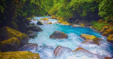 Descubra las bellezas de Bijagua, el impresionante Río Celeste y celebre el Mes de la Danta