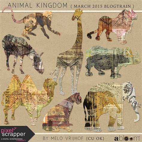 Animal Kingdom - Zoo Collage | Animal kingdom, Altered art, Vintage collage