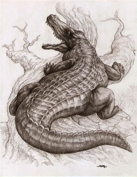 CROCODILE by adanart on DeviantArt | Pencil drawings of animals, Alligators art, Crocodile ...