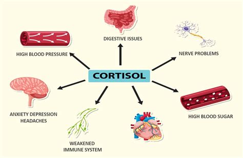 High cortisol levels: symptoms and causes
