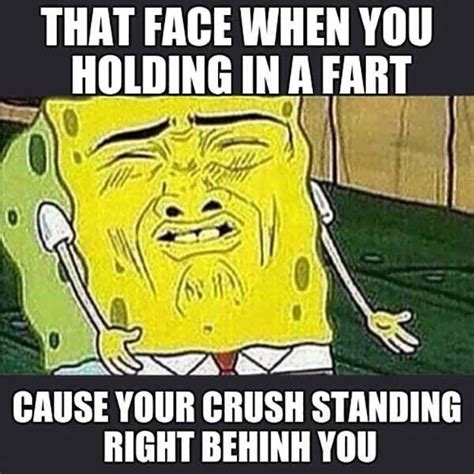 85 Funnniest Fart Meme - Meme Central