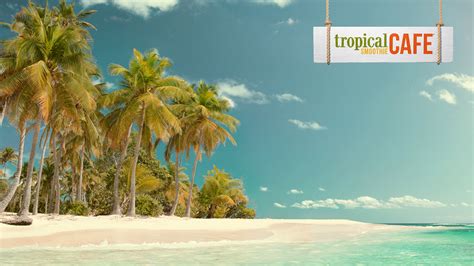 Zoom Tropical | Zoom background images | Tropical Smoothie