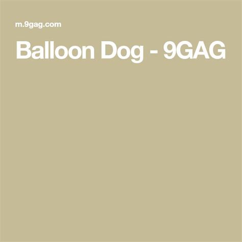 Balloon Dog | Balloon dog, Balloons, Best funny pictures