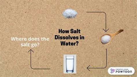 How Salt Dissolves in Water? - YouTube