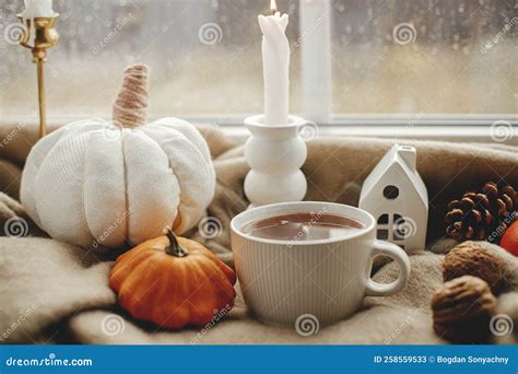 Stylish Warm Cup of Tea, Candle, Pumpkins on Cozy Wool Blanket Against ...