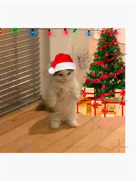 "christmas cat meme" Sticker for Sale by valwerty | Redbubble