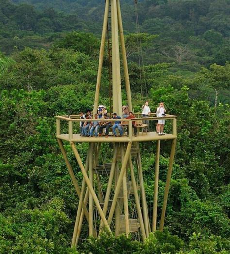 Panamá Rainforest Discovery Center – Mi Guía Panamá