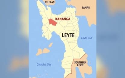 Village chief killed, wife hurt in Leyte ambush | Philippine News Agency