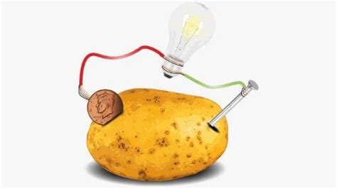 Potato Light Bulb Science Fair Project | Shelly Lighting