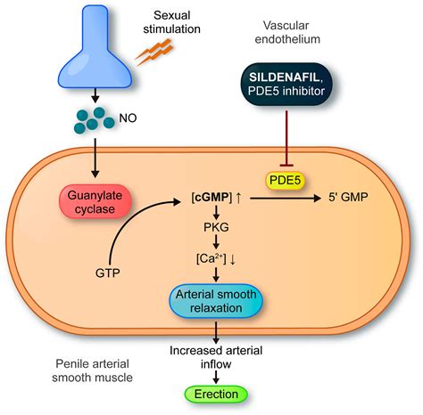 Frontiers | New Approaches in Oncology for Repositioning Drugs: The ...