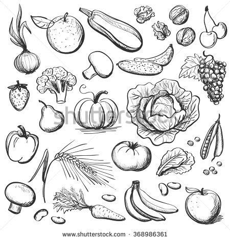 Hand drawn healthy Eating | Dessin legumes, Cuisine dessin, Dessin fruits