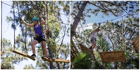 You Can Walk Among The Treetops At This Thrilling Aerial Obstacle ...