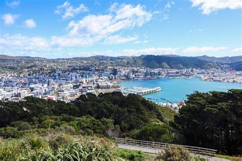 Mount Victoria Lookout: How to Get the Best Views of Wellington