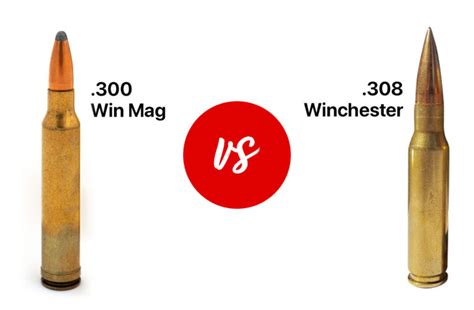 .300 Win Mag vs .308 Winchester: Caliber Showdown - WeaponsMan