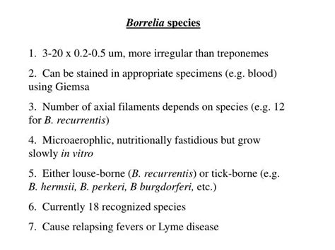 PPT - Borrelia species PowerPoint Presentation, free download - ID:4544728