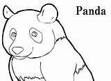 Panda bear coloring Pages Printable sketch template