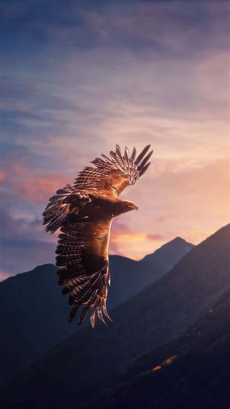 Download Majestic Flying Eagle Over Mountains Wallpaper | Wallpapers.com