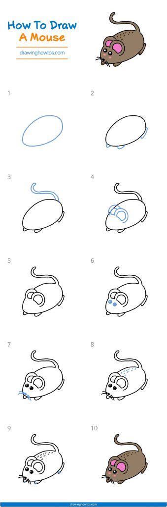 How to Draw a Mouse - Step by Step Easy Drawing Guides - Drawing Howtos