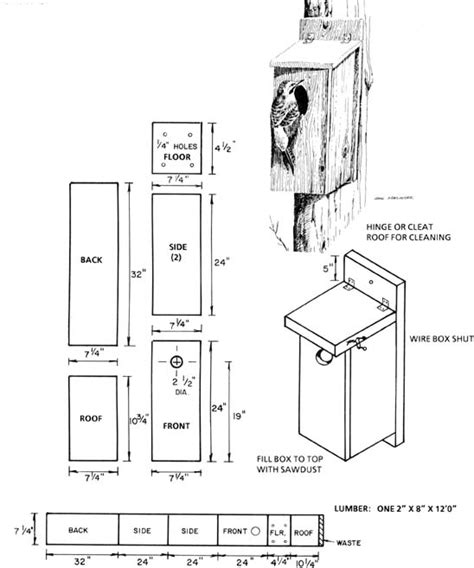 Great Horned Owl Bird House Plans