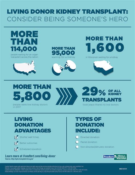 Living Kidney Donor Infographic