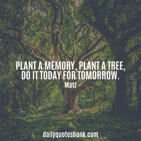 100 Inspirational Quotes About Planting Trees For Future Generations