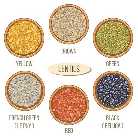 Before we get into how to cook lentils, we should talk about the different types of lentils ...