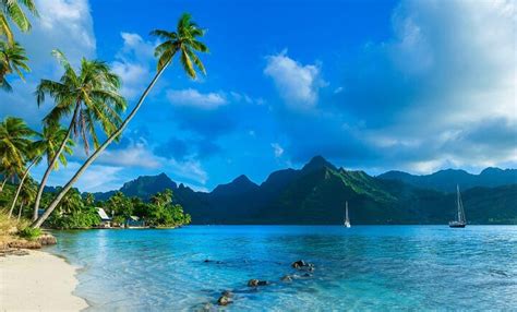 Top 5 Beaches in Tahiti – Tahiti Trip Ideas | Viator.com - Viator