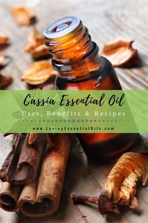 Cassia Essential Oil Uses, Benefits & Recipes - EO Spotlight | Recipe | Cassia essential oil ...