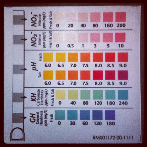 Freshwater Frenzy: How to Read Aquarium Water Test Strips