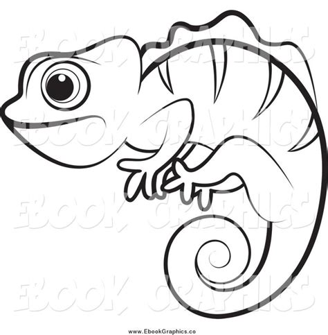 Chameleon Outline Drawing at GetDrawings | Free download