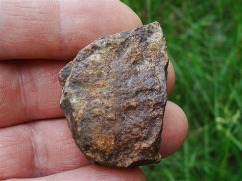 GoldBasinMeteorite100gms