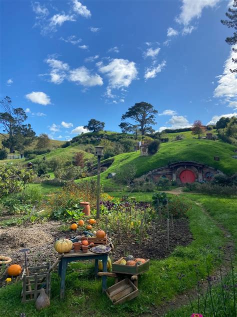 Is the Set Tour of Hobbiton Worth It?