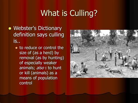 PPT - Culling PowerPoint Presentation, free download - ID:6193878