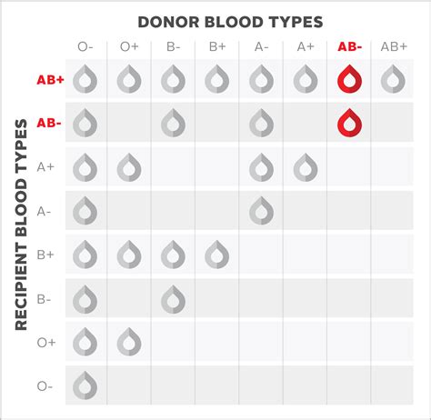 AB-negative (AB-) blood type | Blood.ca