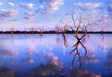 El Dorado Lake Reflections | Mellen Photography