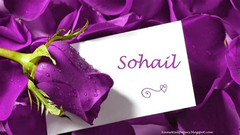 Sohail Name Wallpaper Sohail ~ Name Wallpaper Urdu Name Meaning Name ...