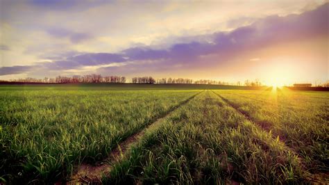 Wallpaper : sunlight, landscape, nature, sky, sunrise, evening, morning, farm, horizon ...