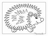Porcupine Coloring Pages Printable sketch template