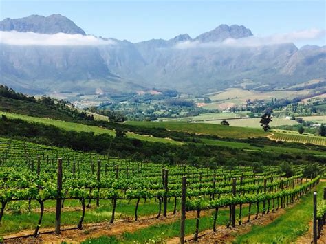 Wellington Wine Route The Cape Winelands