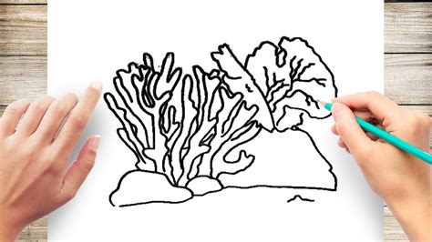 How to Draw Coral Step by Step for Kids - YouTube