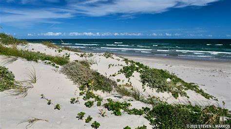 Padre Island National Seashore | PARK AT A GLANCE