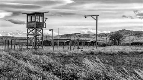 How the Heart Mountain Internment Camp Started a WWII Revolution | VeteranLife