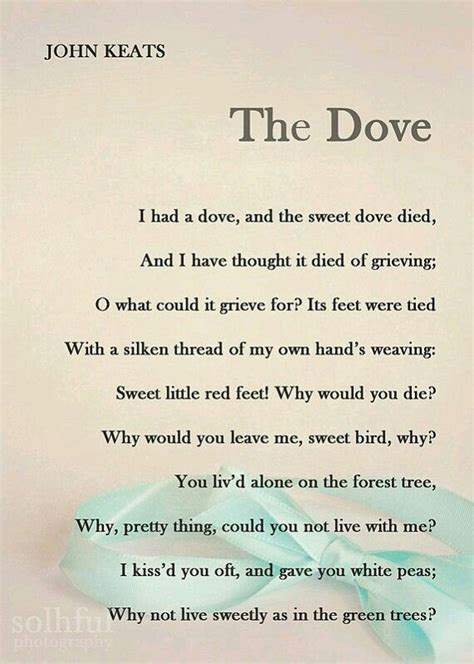 Hold on loosely , but dont let go... | John keats poems, Keats poems, Poems