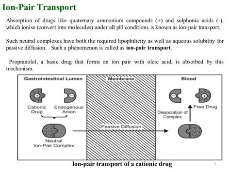 MECHANISMS OF DRUG ABSORPTION