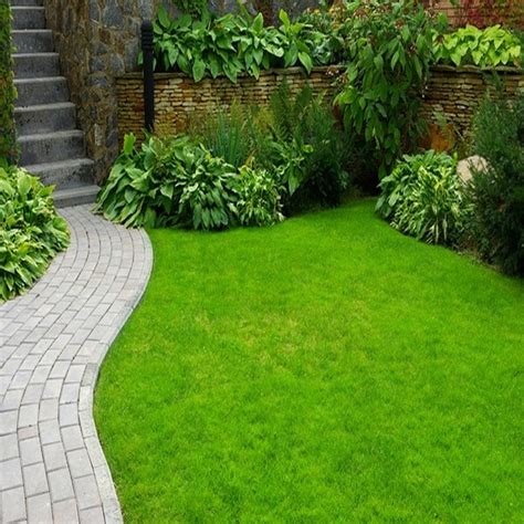 Sod Installation Near Me | Best Hardscaping and Pavers